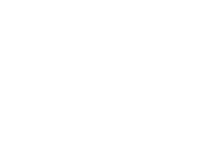 Janning Group